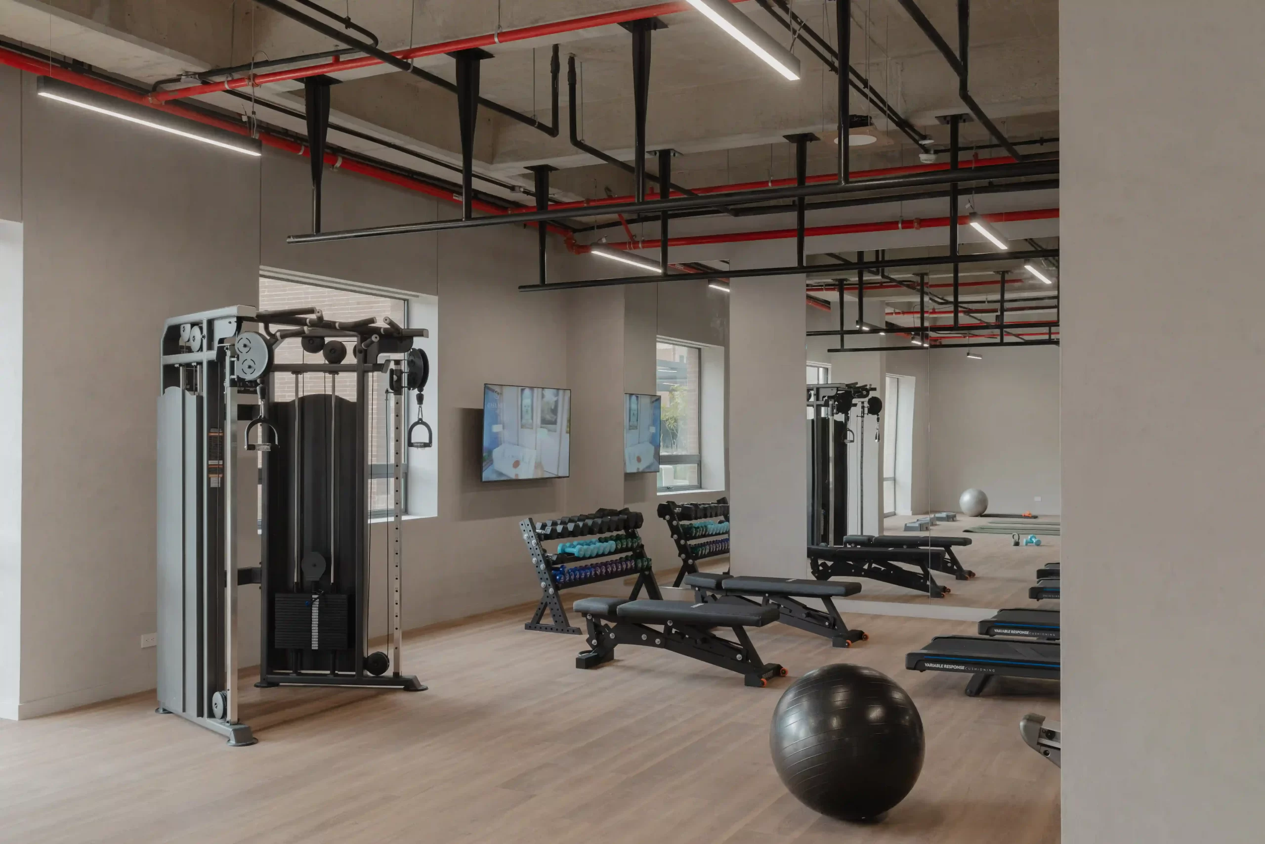 Gimnasio